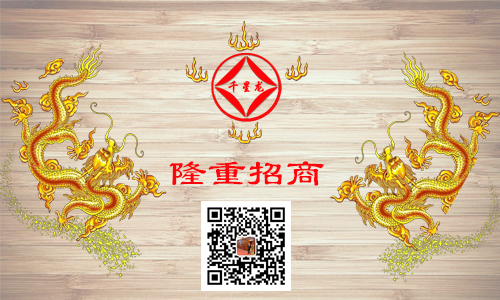 千星龙木门logo
