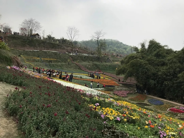 宜居木门“春回大地 走马观花”2019员工生日会圆满落幕！