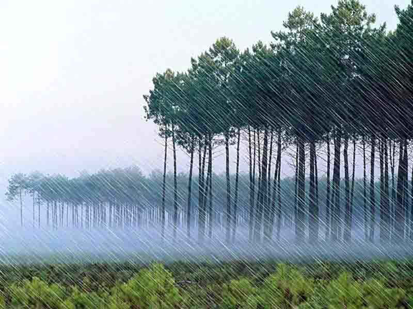 雨季来临了，你准备好了吗?